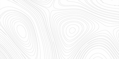 Abstract design with black and white abstract background . Topography map concept. 3d rendering . Creative and similar design with white grey tone paper cut wave curve with blank space design