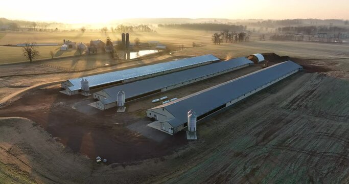 Agriculture in USA. Agribusiness chicken poultry operation. Scenic aerial scene, winter sunrise with mist and light. Bright sunshine.