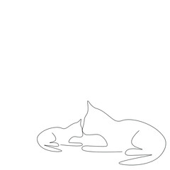 Cats line drawing on white background vector illustration
