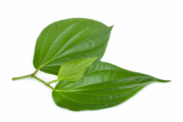 betel leaves and branches isolated white background - obrazy, fototapety, plakaty