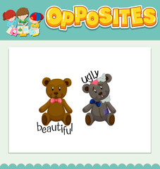 Opposite words for beautiful and ugly