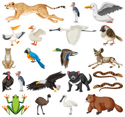 Different kinds of animals collection