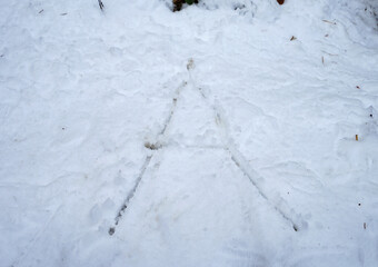 Handwriting font 'A' on pile of snow