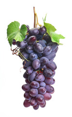 Grapes on a white background