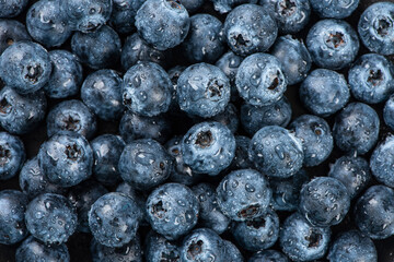 Fresh blueberry with Water drops background