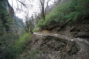 Natural landscape of rocky trail steps and trekking pathway among green forest jungle park