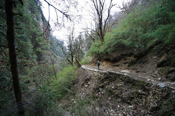 A Man hiking down rocky trail steps among natural landscape of green rainforest park