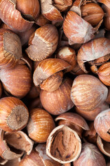 hazelnuts peeled from the shell