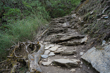 Natural landscape of rocky trail steps and trekking pathway among green forest jungle park