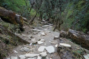 Natural landscape of rocky trail steps and trekking pathway among green forest jungle park