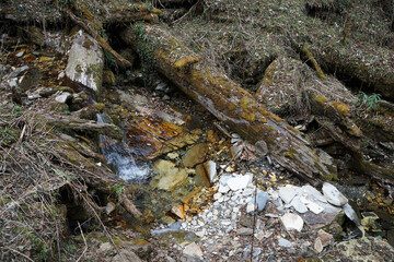 Natural landscape of mountain stream through pebble stones among green forest park