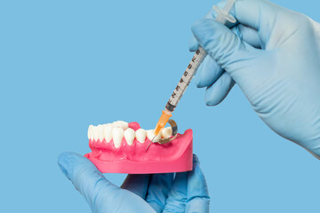 Dentist with layout of the human jaw and syringe.