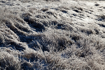grass covered with ice and frost in the winter season