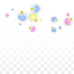 Vector Realistic Colorful Petals Falling on Transparent Background.  Spring Romantic Flowers Illustration. Flying Petals. Sakura Spa Design. Blossom Confetti. Design Elements for Wedding Decoration.