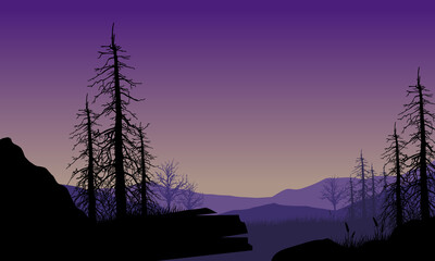 Mountain view with an aesthetic silhouette of dry fallen pine trees from the edge of the city