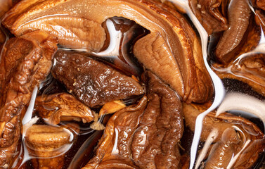 Dried mushrooms in water as background.