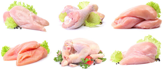 Chicken meat on white background