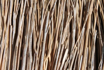closeup of a bundle of straw
