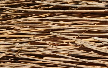 closeup of a bundle of straw
