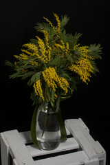 Bouquet of yellow mimosa in a decanter. It is on a white box. On a black background.