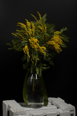 Bouquet of yellow mimosa in a decanter. It is on a white box. On a black background.