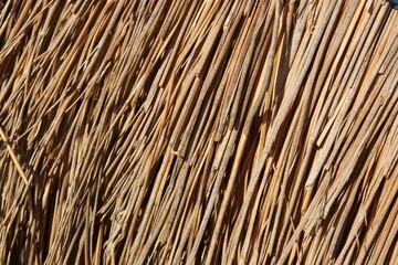 closeup of a bundle of straw
