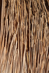 closeup of a bundle of straw
