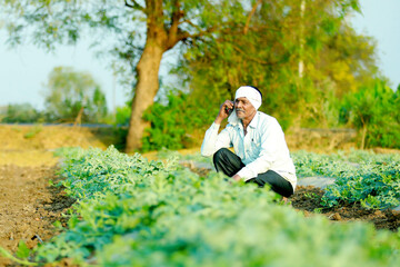Naklejka na ściany i meble Indian farmer talking on mobile phone at watermelon field