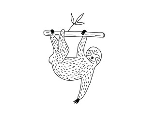 Vector isolated cute cartoon sloth hanging on a tree branch colorless black and white contour line doodle drawing © MariMuz