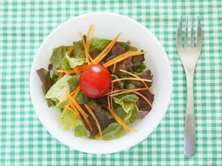 野菜サラダ