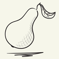 Hand drawn pears illustration