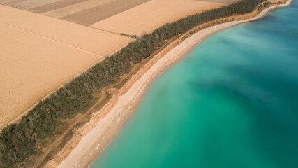Aerial view landscape of beautiful wild beach with a forest and agricultural fields