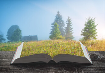 Meadow on the book