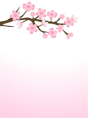 Pink cherry blossom branch background