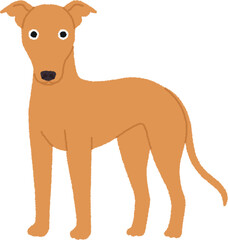 グレイハウンドの犬イラスト