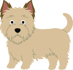 ケアーンテリアの犬イラスト