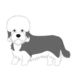ダンディディンモントテリアの犬イラスト