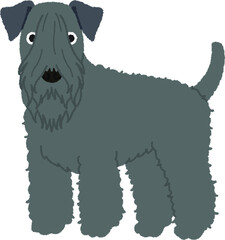 ケリーブルーテリアの犬イラスト