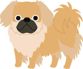 チベタンスパニエルの犬イラスト