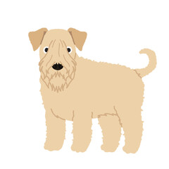 ソフトコーテッドウィーテンテリアの犬イラスト