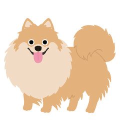 ポメラニアンの犬イラスト