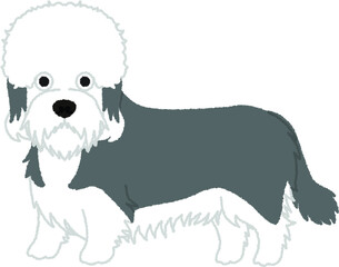 ダンディディンモントテリアの犬イラスト