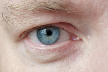 Obraz premium Right eye of a white male close-up, soft focus. The human eye with a blue pupil