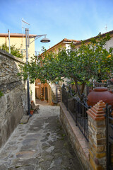 A narrow street among the old stone houses of Castellabate, town in Salerno province, Italy.