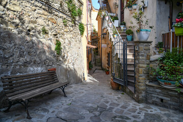 A narrow street among the old stone houses of Castellabate, town in Salerno province, Italy.