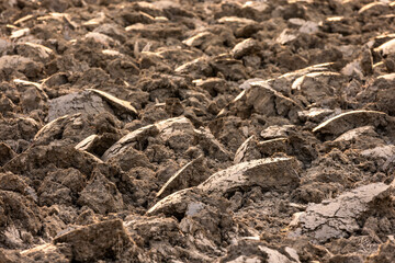 Plow marks open the top of the soil for planting preparation.