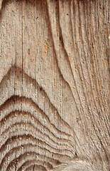 light wood with interesting grain