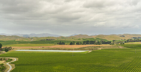 Fototapeta na wymiar views over the vineyards