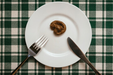 Fake small excrement lies on a white plate with fork and knife close-up on green checkered tablecloth. The concept of an inept cook, a crappy restaurant, bad food, fake news. Bad smelling joke.