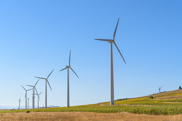 Wind turbines generating electricity on landscape of farmland. Clean energy and renewable energy concepts